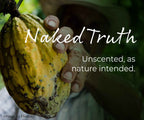 Cacao pod on tree signifying unscented fragrance slide description