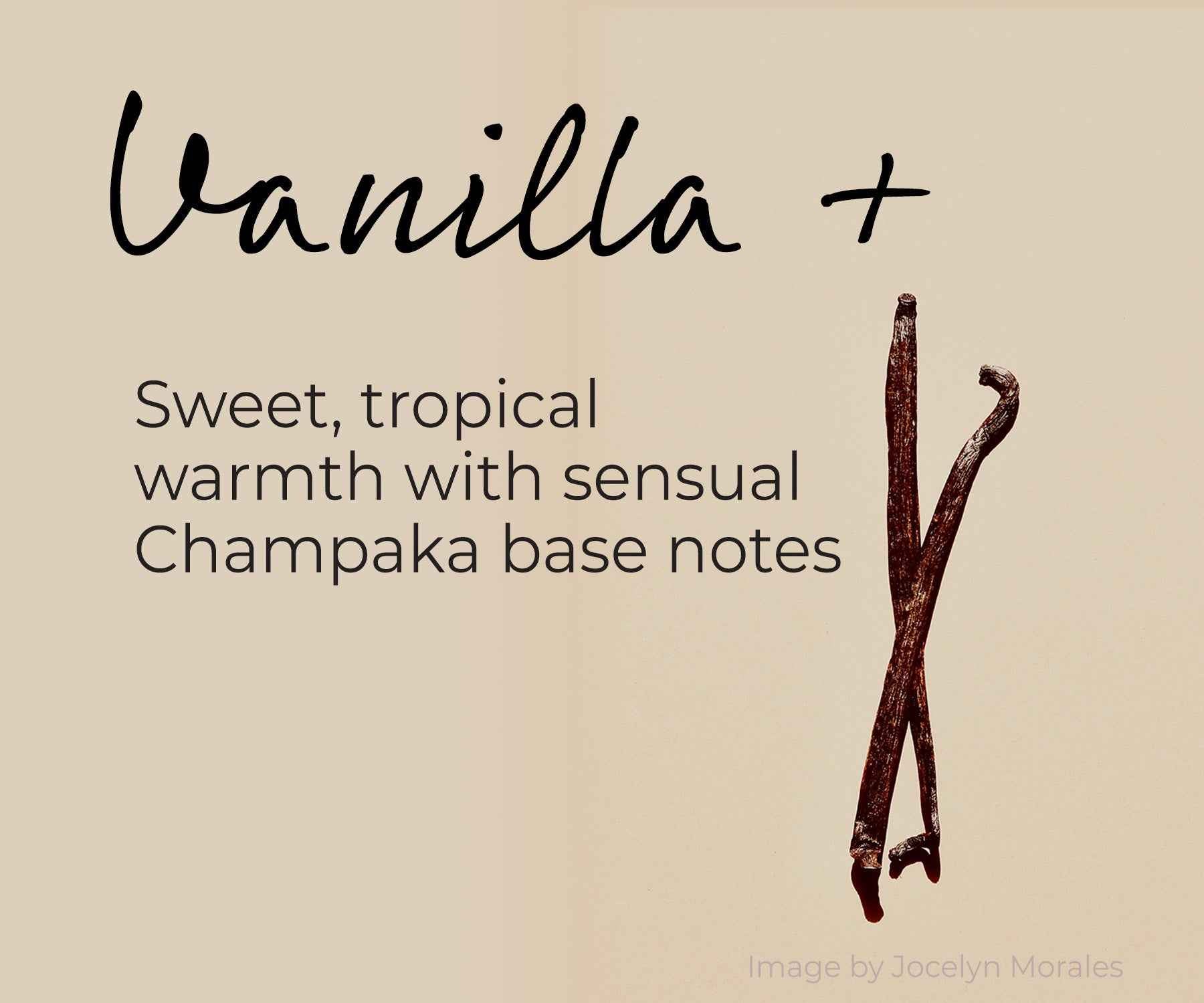 Vanilla plus fragrance slide description with beans