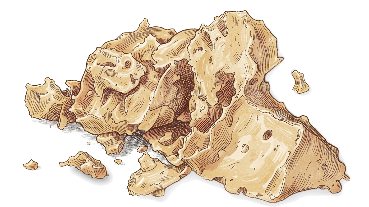 Illustration of textured brown Ucuuba butter on a white background